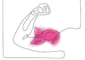 Muskelkater – das unbekannte Tier