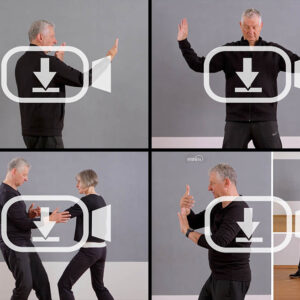Rolf Krizian, Taiji-Kurzform Masterclass