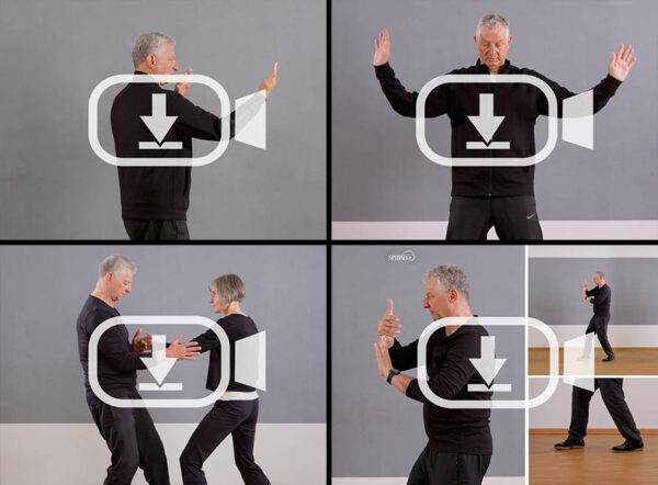 Rolf Krizian, Taiji-Kurzform Masterclass