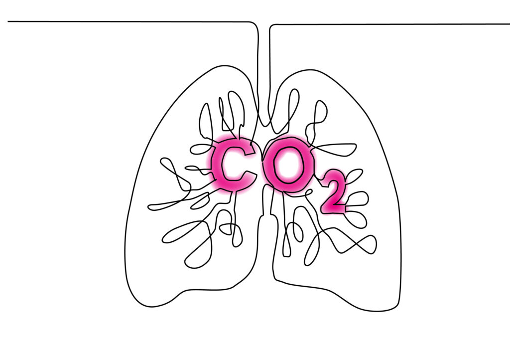 CO₂-Sensitivität vs. CO₂-Toleranz