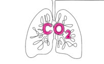 CO₂-Sensitivität vs. CO₂-Toleranz
