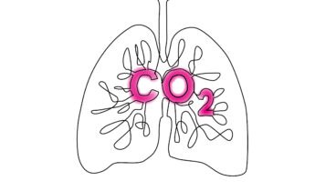 CO₂-Sensitivität vs. CO₂-Toleranz