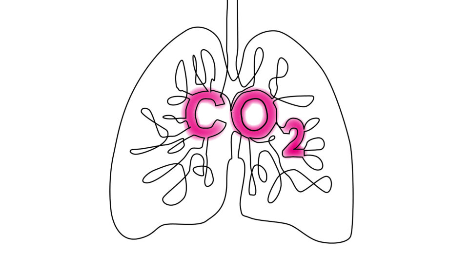 CO₂-Sensitivität vs. CO₂-Toleranz